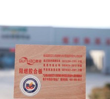 山东阻燃板厂家