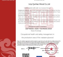 山东职业健康安全管理体系认证证书厂家