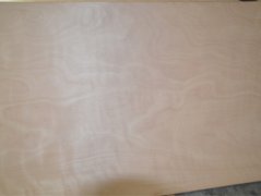 胶合板